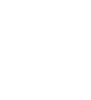 Vector